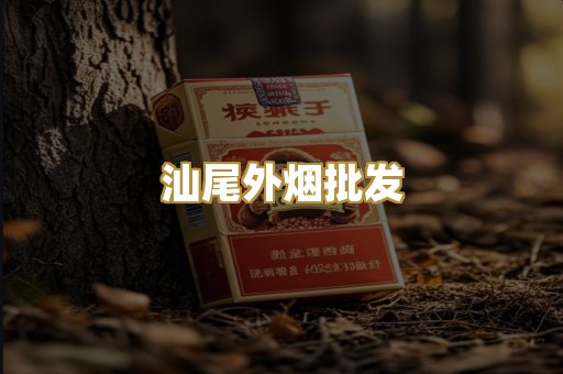 汕尾外烟批发